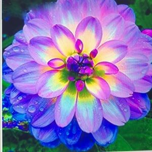 Meet your Posher, Elena